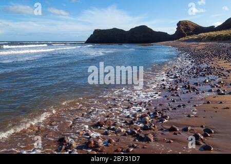 Der Angus-Küstenweg von Arbroath nach Auchmithie, Angus, Schottland Stockfoto