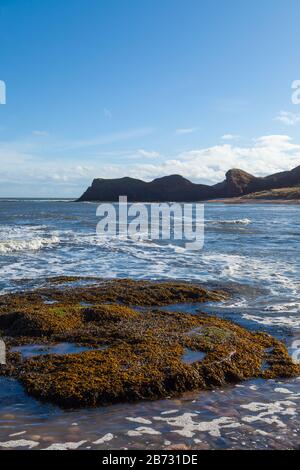 Der Angus-Küstenweg von Arbroath nach Auchmithie, Angus, Schottland Stockfoto