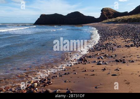 Der Angus-Küstenweg von Arbroath nach Auchmithie, Angus, Schottland Stockfoto