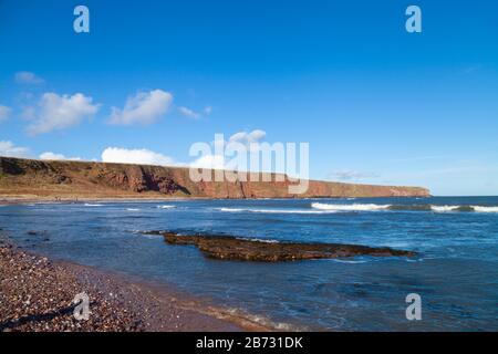 Der Angus-Küstenweg von Arbroath nach Auchmithie, Angus, Schottland Stockfoto