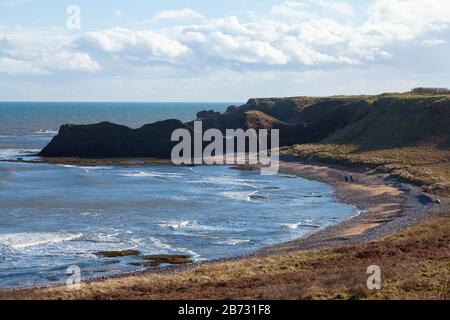 Der Angus-Küstenweg von Arbroath nach Auchmithie, Angus, Schottland Stockfoto