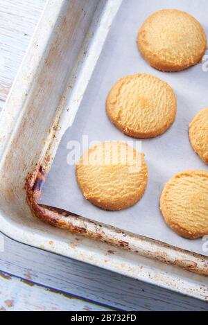 Cookies auf ein Backblech legen Stockfoto