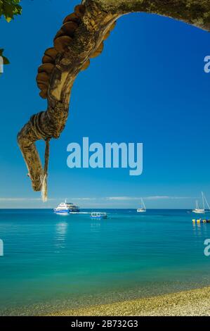 Baum Extremitäten zeigen auf Boote auf dem Ozean vor dem aktuellen Resort auf der malerischen Fitzroy Island vor der Küste von North Queensland in Australien Stockfoto