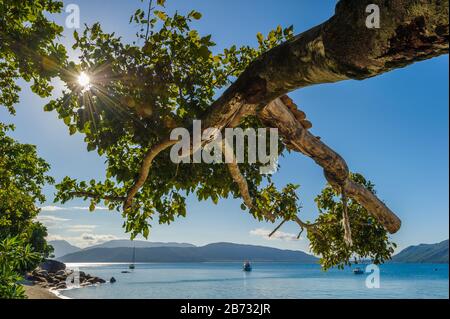 Die Morgensonne geht durch ein Glied, das auf Boote auf dem Ozean vor dem topischen Resort Fitzroy Island in Queensland zeigt. Stockfoto