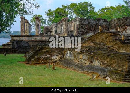 Königliche Ratskammer des Nissanka-Malla-Palastes in Polonnaruwa, Sri Lanka. Stockfoto