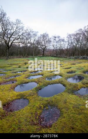 Verteidigungsgruben oder Lillia an den Überresten von Rough Castle an der Antonine Wall bei Bonnybridge in Schottland, Großbritannien Stockfoto