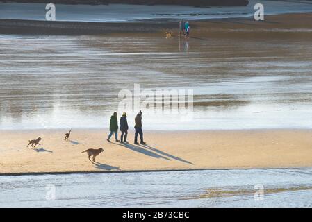 Hundegänger am Porth Beach in Newquay in Cornwall. Stockfoto