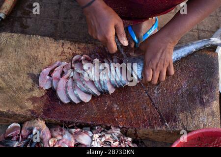 Dame, die Stücke von Kingfish oder SurMai, Mirkarwada, Ratnagiri, Maharashtra, Indien schneidet Stockfoto