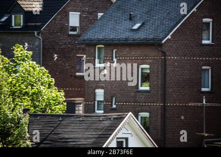 Taubenschar fliegt durch die Stadt am Himmel Stockfoto