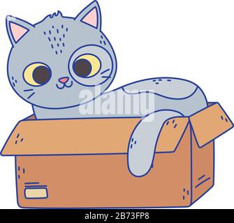 Niedliche graue Katze, die in der Cartoon-Vektor-Illustration des Kartons liegt Stock Vektor