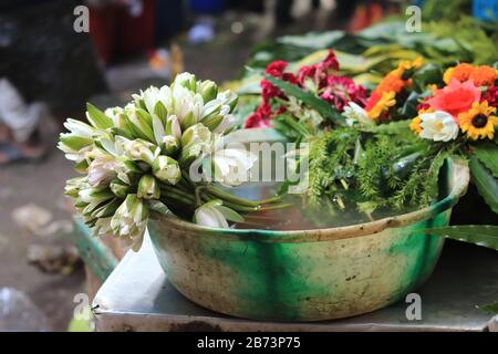 Frische Blumen im Eimer Stockfoto