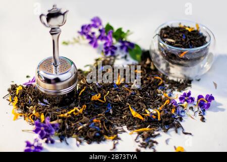 Earl graue Teekräuter mit trockenen, gelben und frischen lila Blumen, Glastasse und Teesieb auf weißem Grund. Stockfoto