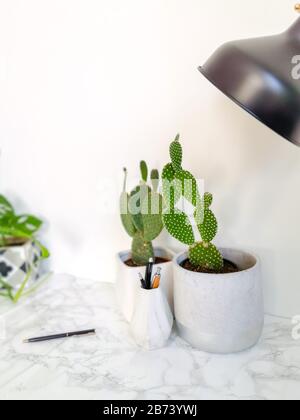 Weißer, sauberer Schreibtisch mit zahlreichen grünen Pflanzen für eine entspannende Arbeitsumgebung ohne Stress Stockfoto