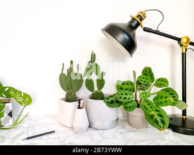 Weißer, sauberer Schreibtisch mit zahlreichen grünen Pflanzen für eine entspannende, stresslose Bürofläche Stockfoto