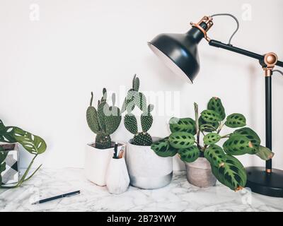 Weißer, sauberer Schreibtisch mit zahlreichen grünen Pflanzen für eine entspannende Arbeitsumgebung ohne Stress Stockfoto