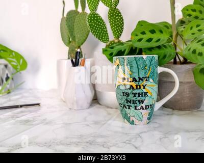 Keramikbecher mit lustigen Anführungszeichen, bei denen Menschen mit Pflanzensüchtigen mit verrückten Katzen-Damen auf einem Schreibtisch verglichen werden Stockfoto