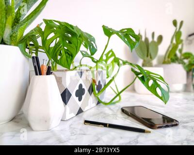 Weißer, sauberer Schreibtisch mit zahlreichen grünen Pflanzen für eine entspannende Arbeitsumgebung ohne Stress Stockfoto