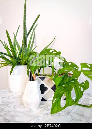 Weißer, sauberer Schreibtisch mit zahlreichen grünen Pflanzen wie einer Aloe Vera und einer Affenmaske für einen entspannenden, stresslosen Bürobereich Stockfoto