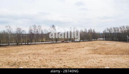 Schöner blauer Himmel und gelbgrünes Gras. Stockfoto