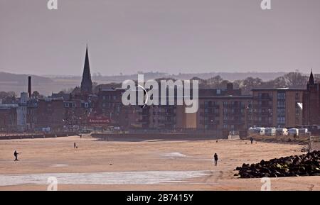 Portobello Beach, Edinburgh, Schottland, Großbritannien. März 2020. Man Skateboard Kitesurfing entlang des ungewöhnlich ruhigen Sandstrands. Sonnig aber kühl, Wind: ENE 18 km/h mit Windböen von 32 km/h, Temperatur von 6 Grad Celsius. Stockfoto