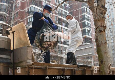 (200313) -- WUHAN, 13. März 2020 (Xinhua) -- Mitarbeiter entladen Fisch in einer Gemeinde im Qiaokou Distrikt Wuhan, der zentralen chinesischen Provinz Hubei, am 13. März 2020. Die erste Charge von 100 Tonnen Fisch, die aus Hubeis Xianning City transportiert wurden, wurde am Freitag an Gemeinden im Qiaokou Distrikt Wuhan verteilt. (Xinhua/Cheng Min.) Stockfoto