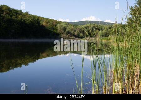 Sommerlandschaft mit Schilf und Stillsee in Krimbergen Stockfoto