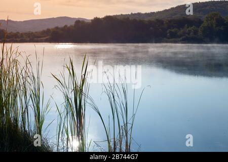 Morgenlandschaft mit Schilf- und Nebelschicht über stillem Seewasser in Krimbergen Stockfoto