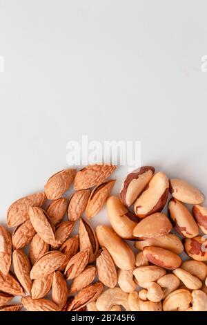 Verschiedene braune Nüsse kreisen auf grauem Grund. Macadamia, Cashews, gehackte Mandeln, Pekannuss, gesunde Ernährung. Vertikales Foto mit Kopierbereich Stockfoto