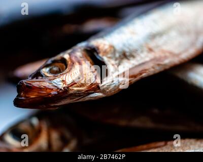 Kalt geräucherter Salaka bereit zum Essen. Geräucherte Fische in der Nähe eines Tellers. Seefisch ist ein schmackhaftes und gesundes Naturkostprodukt, eine reiche Quelle essentiellen Omegas Stockfoto