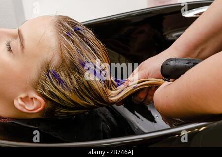 Haarstylisten, die nach dem Färben violettes Shampoo färben. Stockfoto