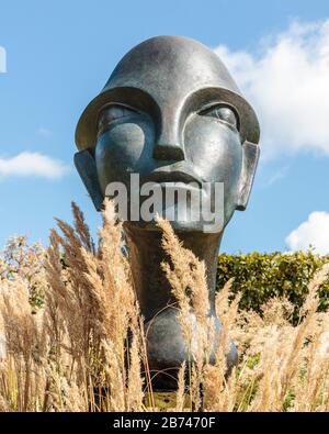 Marks Hallenskulptur colchester essex england UK Stockfoto