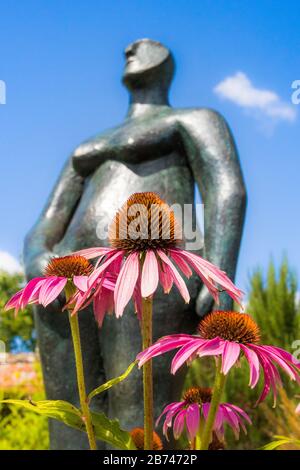 Marks Hallenskulptur colchester essex england UK Stockfoto