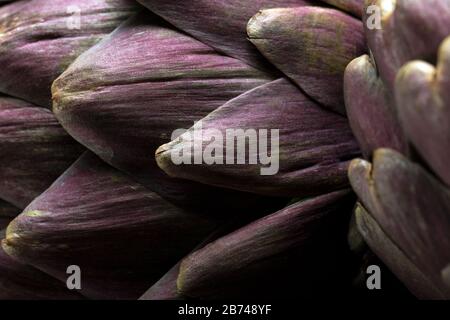 Makro-Nahaufnahme von rohen Artischocken. Stockfoto