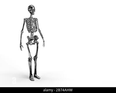 3D-Rendern eines glänzenden reflektierenden Metallskeletts im weißen Hintergrund mit Platz für Text. Stockfoto