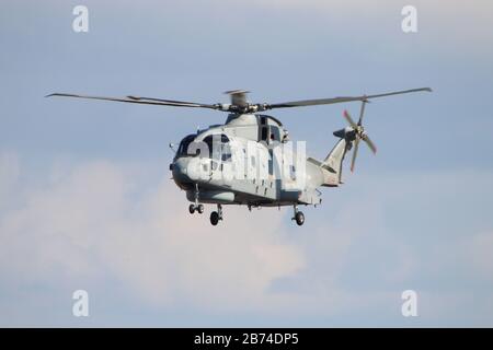 ZH828, ein AgustaWestland Merlin HM1, das von der Royal Navy betrieben wird, auf dem Flughafen Prestwick in Ayrshire, während der Scottish Airshow 2014. Stockfoto