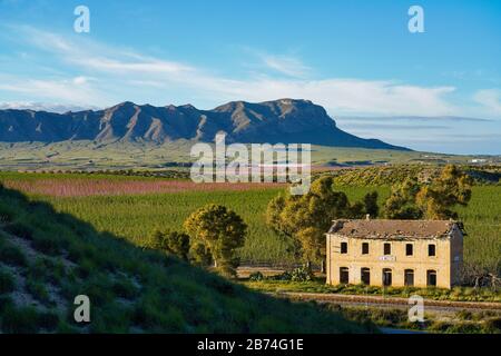 Alter Bahnhof La Macetua in Cieza zur Blütezeit, Region Murcia in Spanien Stockfoto