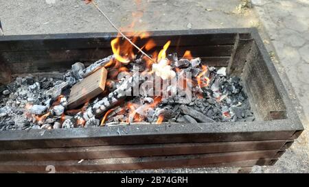 Brennendes Brennholz auf dem Grill. Textur Feuer Feuer Glut. Grill mit brennendem Holz Stockfoto