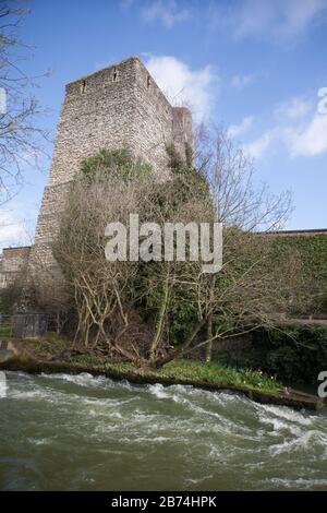 Castle Mill Stream, mit Blick auf Oxford Castle und Prison, Oxford, Großbritannien Stockfoto