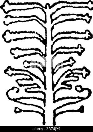 Baum-Design hat mehr verschiedene Kunstmotive als jedes andere Objekt eingerichtet und ist fast allgegenwärtig in persischen Gebet-Teppichen, Es symbolisiert Göttliches Pulver Stock Vektor