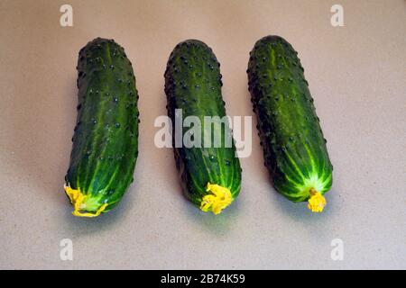 Drei frische grüne Gurken liegen auf grauem Grund nahe. Stockfoto