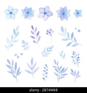 Wasserfarbenelemente Blumensatz mit blauen Blumen und Blättern, isoliert auf Weiß Stockfoto