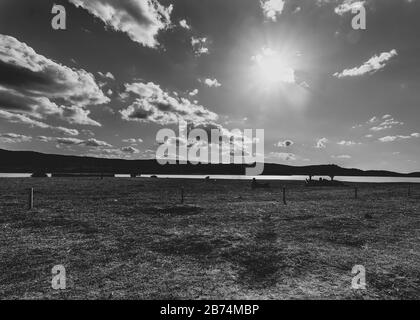 Graustufen Aufnahme des Feldes ein See und ein Leuchten So Stockfoto