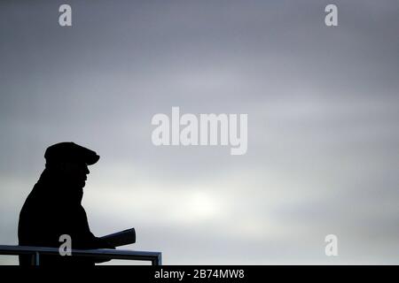 Ein Sündenbock in der Silhouette während des vierten Tages des Cheltenham Festivals auf der Rennbahn von Cheltenham. Stockfoto