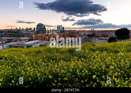 Madrid, Spanien - 7. März 2020: Panoramablick auf die Skyline von Madrid von einem Hügel mit gelben Blumen bei Sonnenuntergang im Frühling, mit den Strahlen o Stockfoto