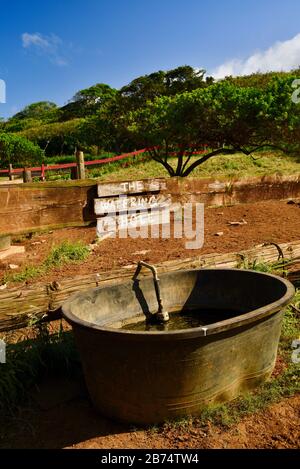 Schild "The Watering Hole" und großer Wassereimer für Pferde in der Nähe von Zaun und Korral, stabil, auf der 900 Acre Gunstock Ranch, Oahu Island, Laie, Hawaii, USA Stockfoto