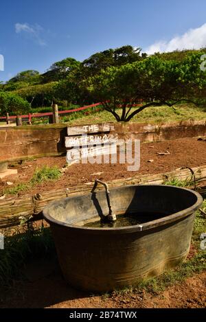 Schild "The Watering Hole" und großer Wassereimer für Pferde in der Nähe von Zaun und Korral, stabil, auf der 900 Acre Gunstock Ranch, Oahu Island, Laie, Hawaii, USA Stockfoto