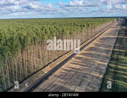 Blick auf die Pipeline-Baustelle der EUGAL-Pipeline-Route in einem Waldgebiet bei Grünheide (Mark). Auf der linken Seite des Bildes sind Rohre der Rohrleitung zu sehen, die verlegt werden müssen. [Automatisierte Übersetzung] Stockfoto