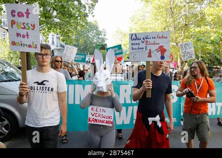 Demo "offizielle Tierrechte März 2019 am Berliner Rosenthaler Platz, 25.08.2019. Der Animal Rights March ist ein Demo der veganen Gemeinschaft zum Tierschutz und Tierrecht. [Automatisierte Übersetzung] Stockfoto