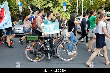 Demo "offizielle Tierrechte März 2019 am Berliner Rosenthaler Platz, 25.08.2019. Der Animal Rights March ist ein Demo der veganen Gemeinschaft zum Tierschutz und Tierrecht. [Automatisierte Übersetzung] Stockfoto