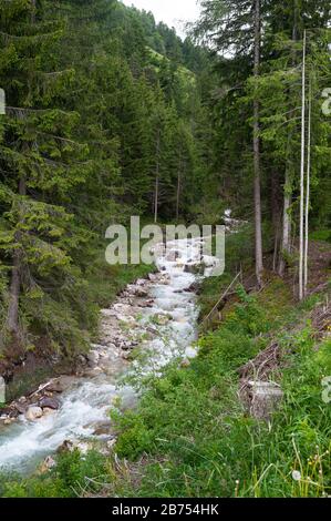 21.06.2019, St. Magdalena, Villnoess, Trentino, Südtirol, Italien, Europa - Gletscherbach und Nadelwald im Naturschutzgebiet Villnoesstal. [Automatisierte Übersetzung] Stockfoto